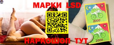 2c-b Новозыбков