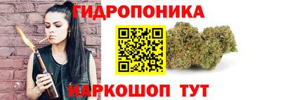 2c-b Новозыбков