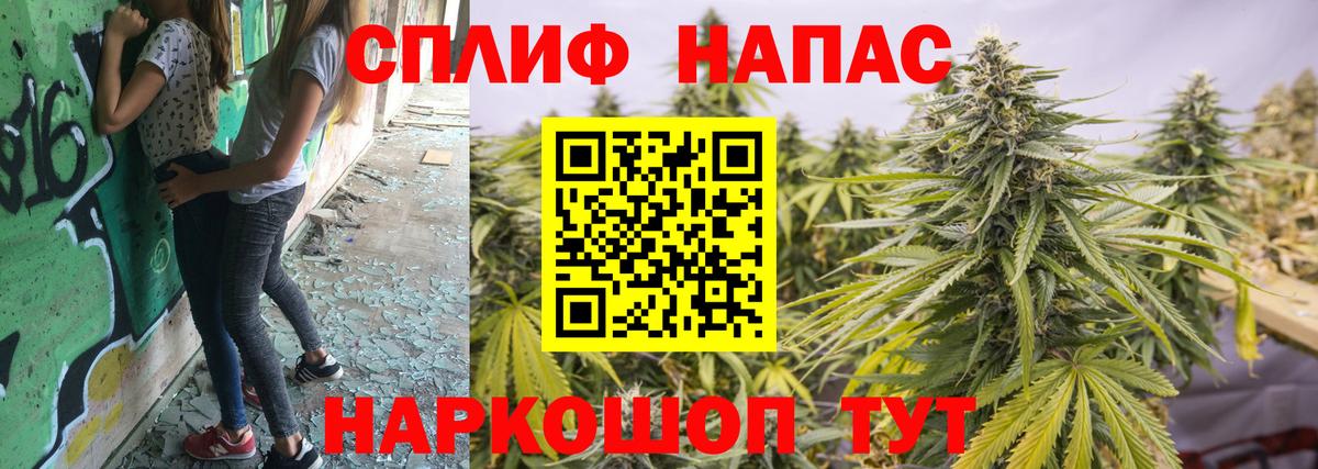 Марихуана семена Рыбинск